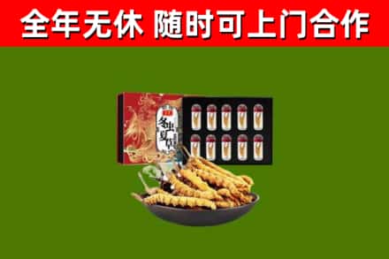 城东回收冬虫夏草价格